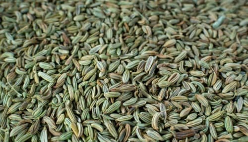تصویر 3 از عرضه انواع زیره سبز ایران کاربردی و مفید